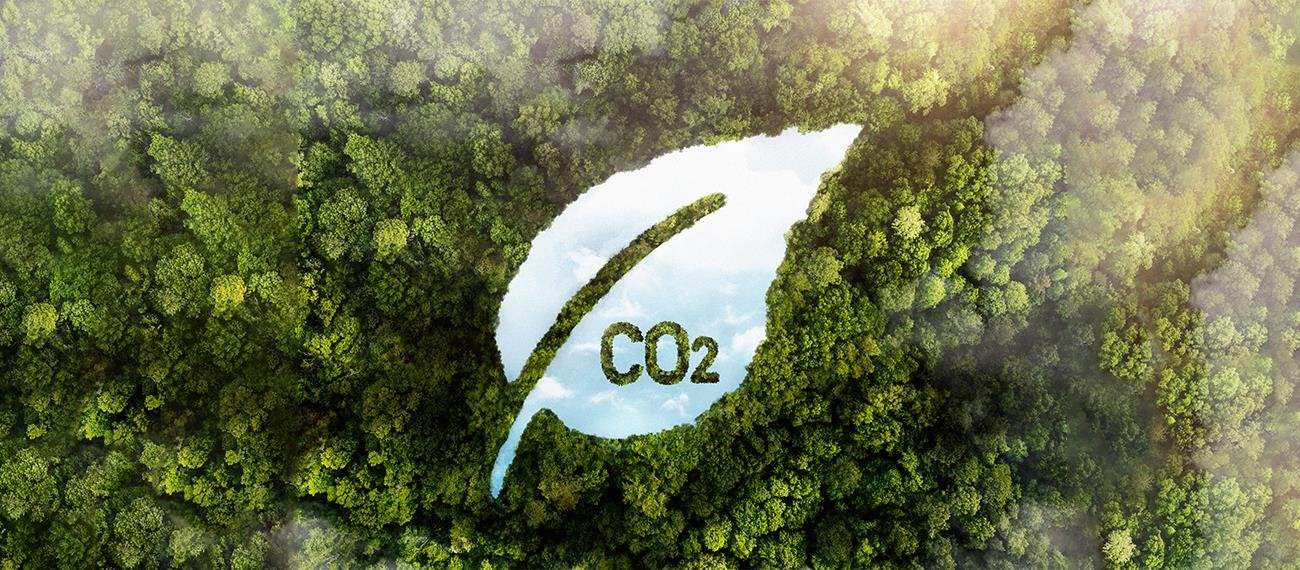 Türkiye İçin Karbon Ayak izi ve CO2 Emisyonların Enerji Çeşitliliği Üzerinden Ekonometrik Bir Modelle Değerlendirilmesi