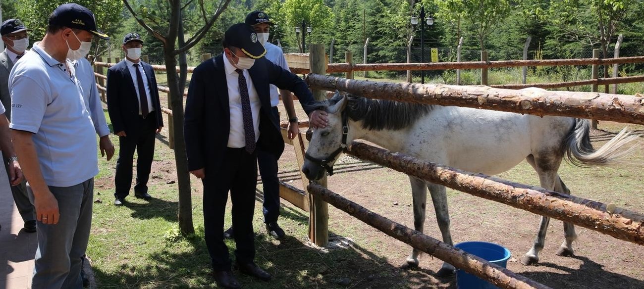 Rektör Prof. Dr. Kemal Şenocak Üniversitemiz Hippoterapi Uygulama Kliniği'nde İncelemelerde Bulundu